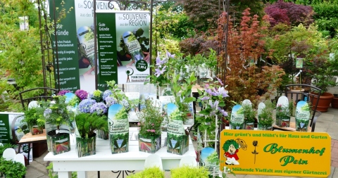 Produktpäsentation Blumenhof Pein