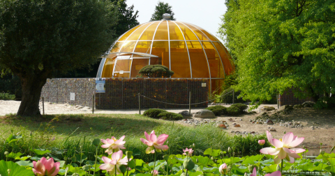 Arboretum SBA Faszination Bernstein_1100