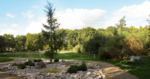 Baumpark Pinneberg P9139627_1100